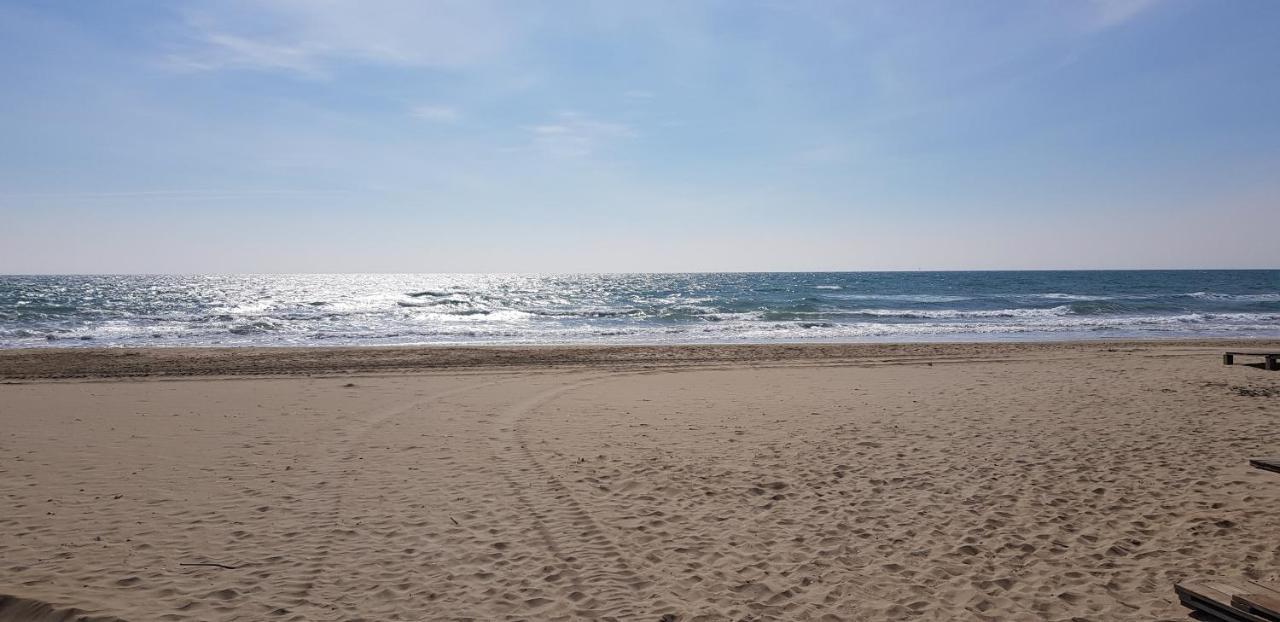 Ferienwohnung Studio Naturiste "Sunshine" Heliopolis Fg 14 Agde Exterior foto